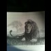 Kevin Hayler signed print limited edition Kevin Hayler signed print limited edition