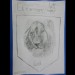 Lion Lion