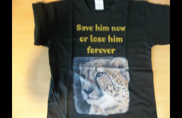 Cheetah tee shirts  