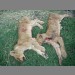 Two defenceless lion cubs killed in retaliation