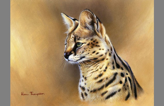 "Serval" by Kim Thompson