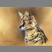 "Serval" by Kim Thompson
