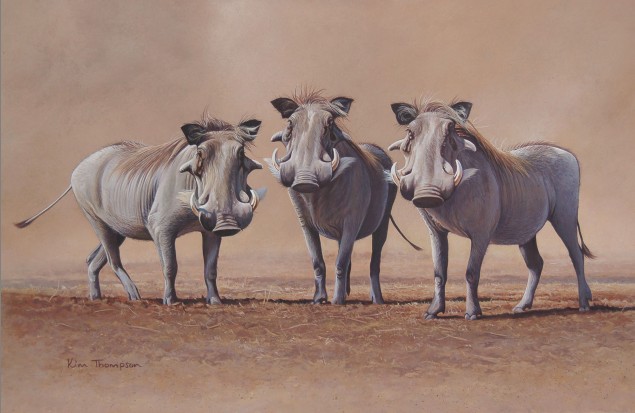 "Curiosity - Warthogs" by Kim Thompson