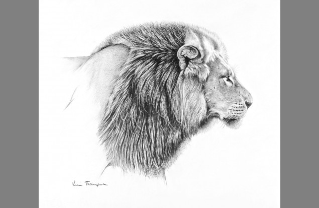 LionAid Lion