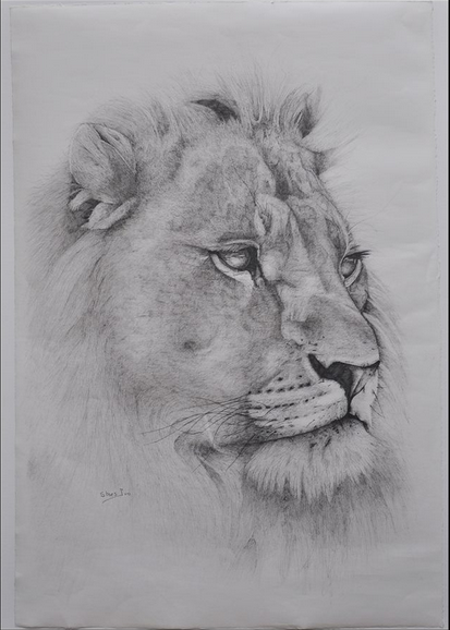 A pencil drawing by Ivo Staes