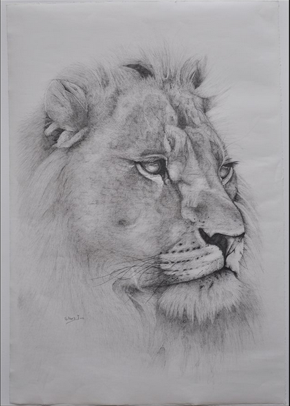 A pencil drawing by Ivo Staes A pencil drawing by Ivo Staes