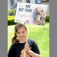 Millie K Siggins Millie K Siggins