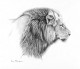 Kim Thompson "Endangered Nobility" Thumbnail