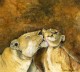 Simon Stevenson "Bath Time" Thumbnail