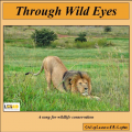 "Through Wild Eyes" MP3 download
