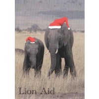 Christmas Elephants by Martin Fowkes