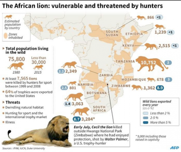 African lion pop map 2
