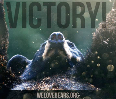 Bear victory