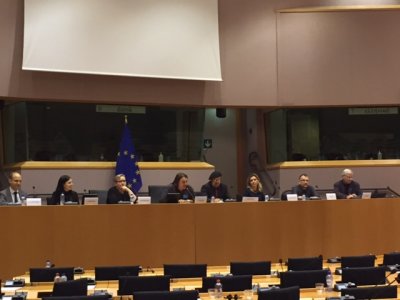 EU Panel