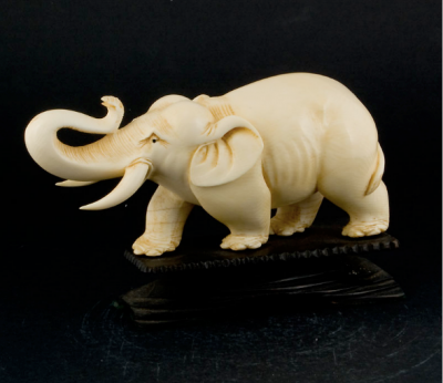 Ivory
