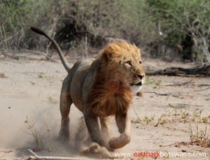 Join our campaign and take action NOW!