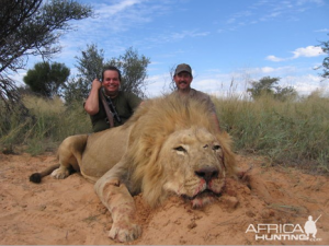 Lion Trophy Hunting is not sustainable - it cannot be called conservation anymore.